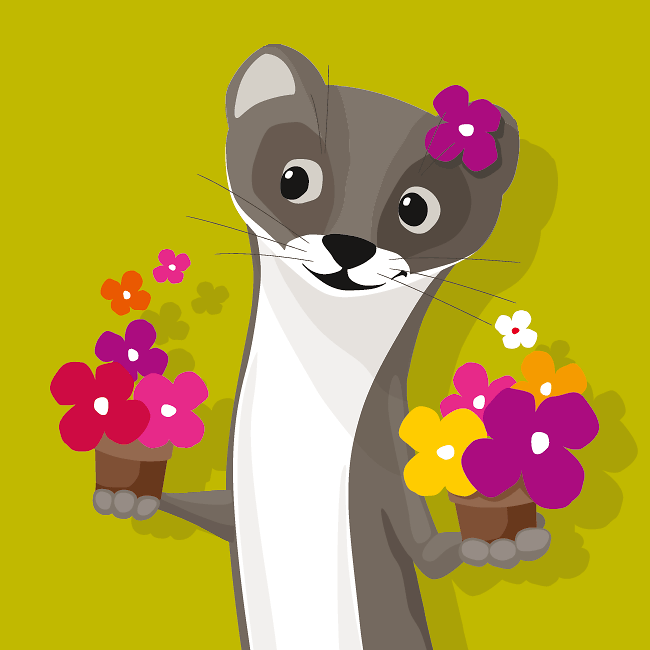 Wiesel ganz Blume Hintergrund