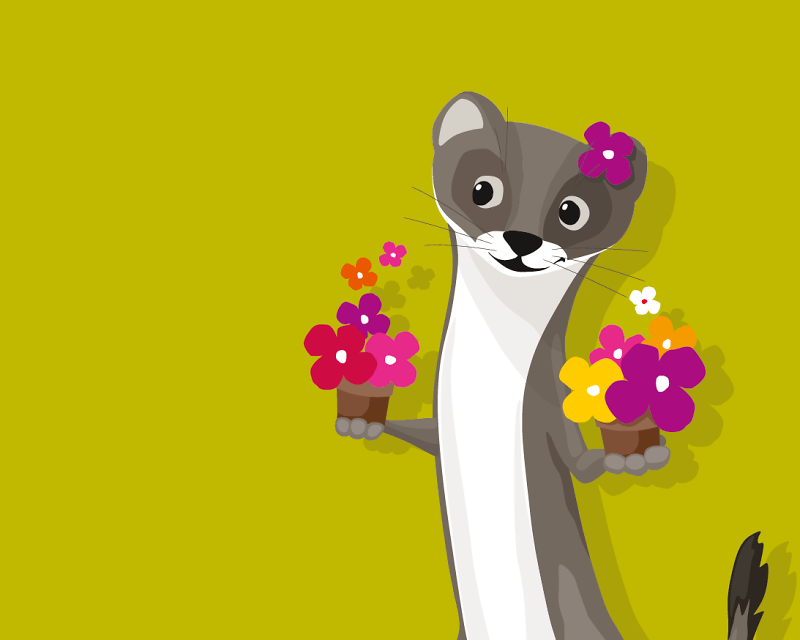 Wiesel ganz Blume Hintergrund