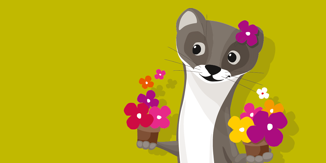 Wiesel ganz Blume Hintergrund