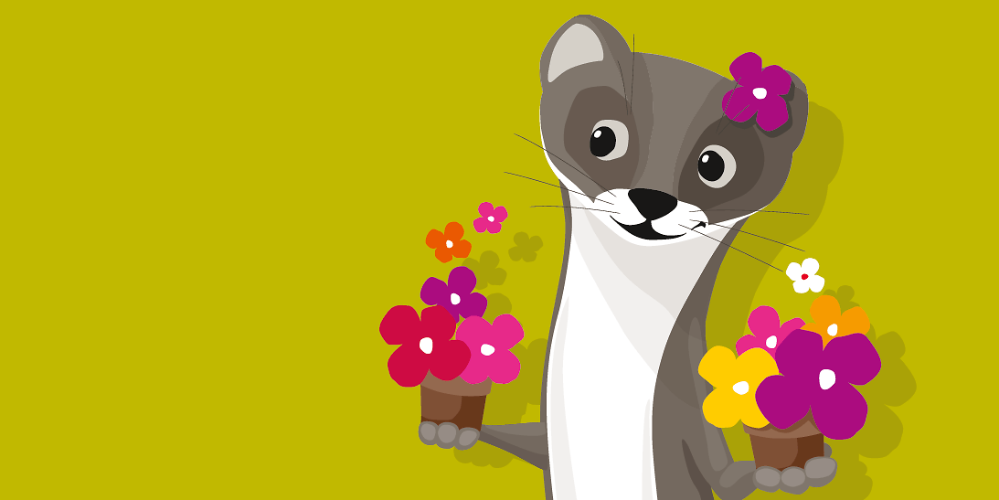 Wiesel ganz Blume Hintergrund